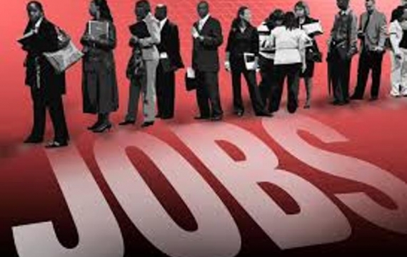 Silahkan Pilih, 70 Perusahaan Akan Tampil di Job Expo Pekanbaru